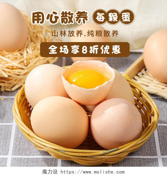 白色简约用心散养每颗蛋电商淘宝天猫京东土鸡蛋生鲜鸡蛋主图